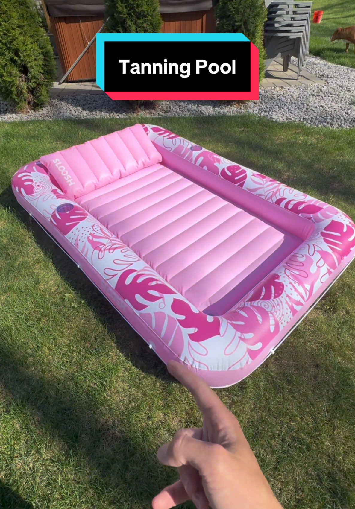 Tanning pool #tanning #pool #Summer #tan #sunbathing #tanningbed 