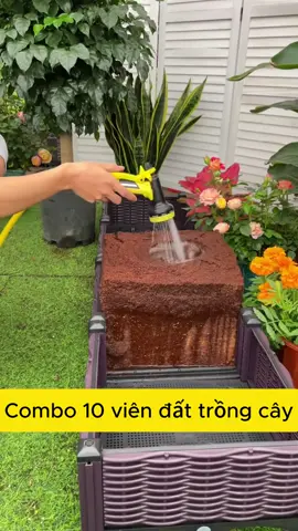 Quá tiện luôn, các bác trồng rau sạch gì chưa ạ. #viennenxodua #viennenxoduatrongcay #viral 