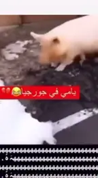‏مقطع قديم ‏بس يضحك🤣#yyyyyyyyyyyyyyyyyyyyyyyyyyyyyy #يامي #في #جورجيا🇬🇪 