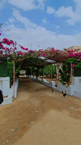 #هشتاقاتي_الترند_المشهور #فن_تصوير_تصويري_فتغرافي_احترافي📸📹 #tiktok #ايموهاغ #التوارق #مشاهير_العالم ##مشاهير_تيك_توك_مشاهير_العرب 