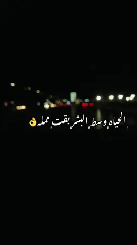#استوري #pov #beboo_bassem❤️🤺 #بيبو_باسم #باسم_بيبو #👌🏻 #explore #likeeeeeeee #استوريهات_واتساب #fact #comment #comment #لايك__explore___ #pov #fact 