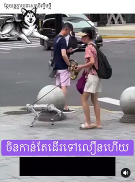 🇨🇳 🤖 