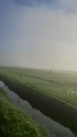 masha allah ini video terbaik yg pernah aku post #natural #explore 