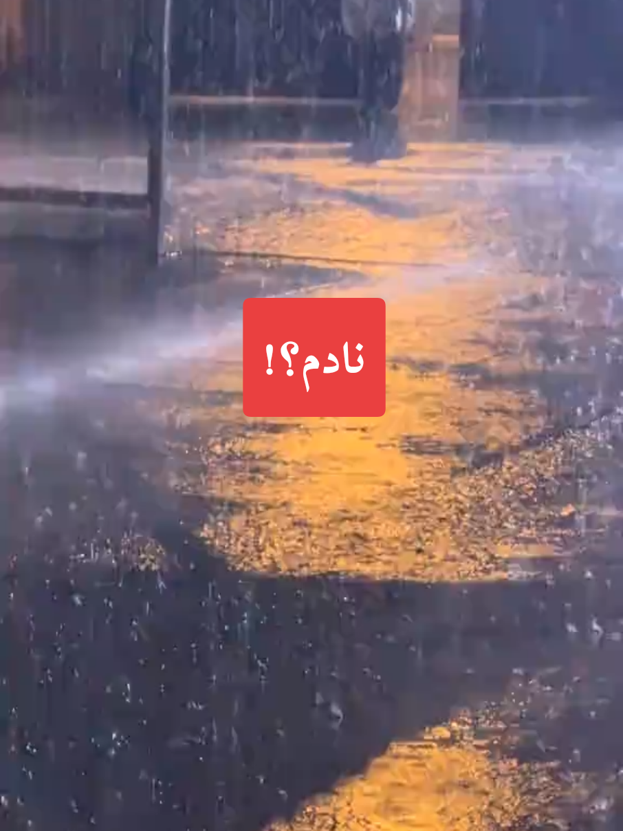 نادم على الوقت اللي ضيعتو على الناس لي ما تستهلش