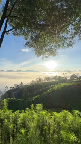 သဘာဝတေး🌄🌅 #သဘာဝ #morning #follow #trend #fyp #foryou #foryoupage #fypシ゚ #မင်္ဂလာနံနက်ခင်းပါ 🌅