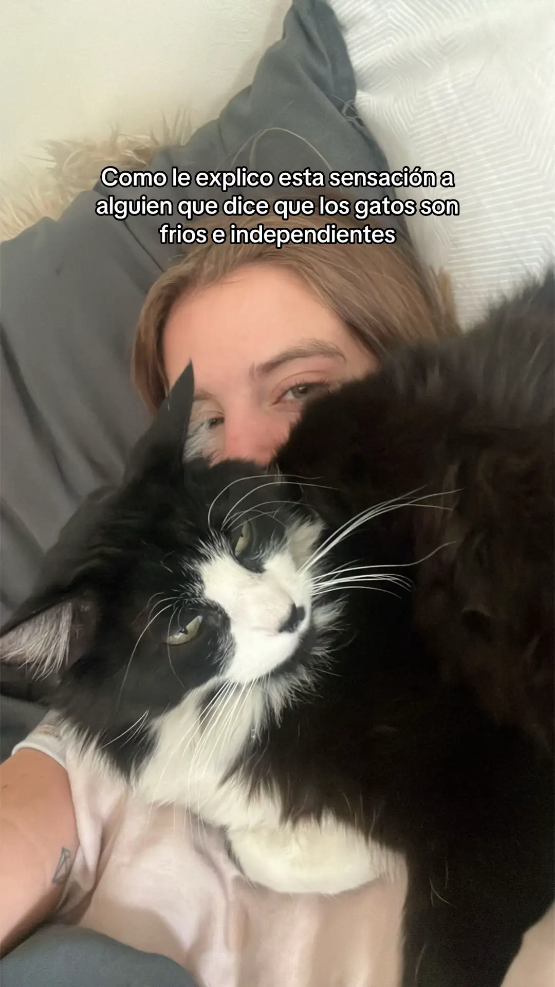 Mi tito #fyp #cats 