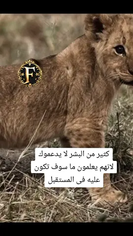 كثير من البشر لا يدعموك لانهم يعلمون ما سوف تكون عليه فى المستقبل  #7D #matrix #777 