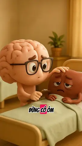 Trà mát gan thanh nhiệt cơ thể #biquyettruongtho #suckhoechomoinguoi #suckhoe #laohoasom 