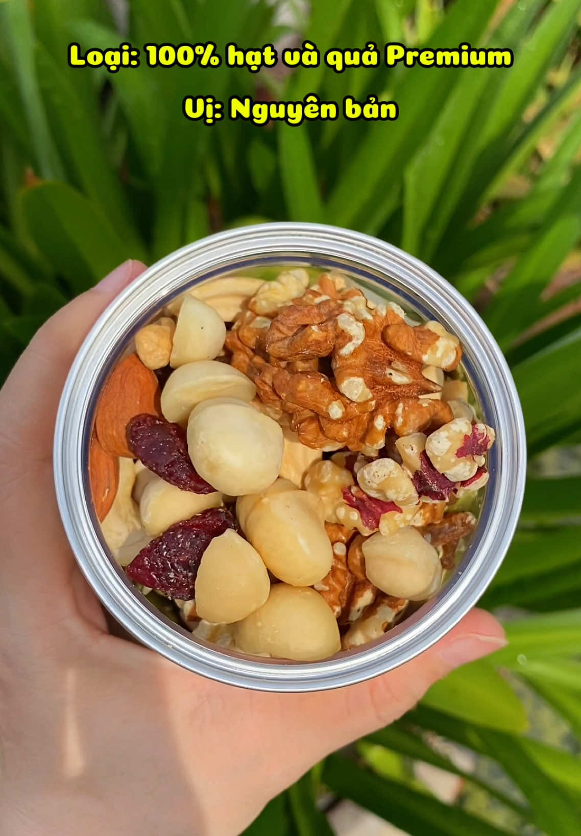 Bầu bì hay không thì hạt dinh dưỡng vẫn dinh dưỡng nè #granola #nongsangiotnang #giotnanghealthy 