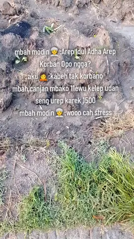 Inpo dederan Mbako seng super