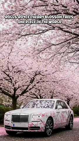 The rarest car in the world, manufactured by Rolls-Royce