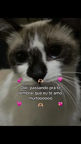 #amor #frasesdeamor #apaixonado #vaiprofy #casal #fyp 