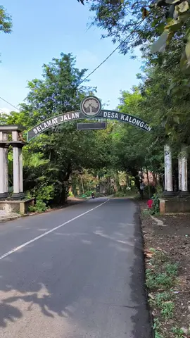 Kalongan, Ungaran Timur 🌲🍃  #ungaran #ungaranstory  #ungaran24jam #ungaranpride 