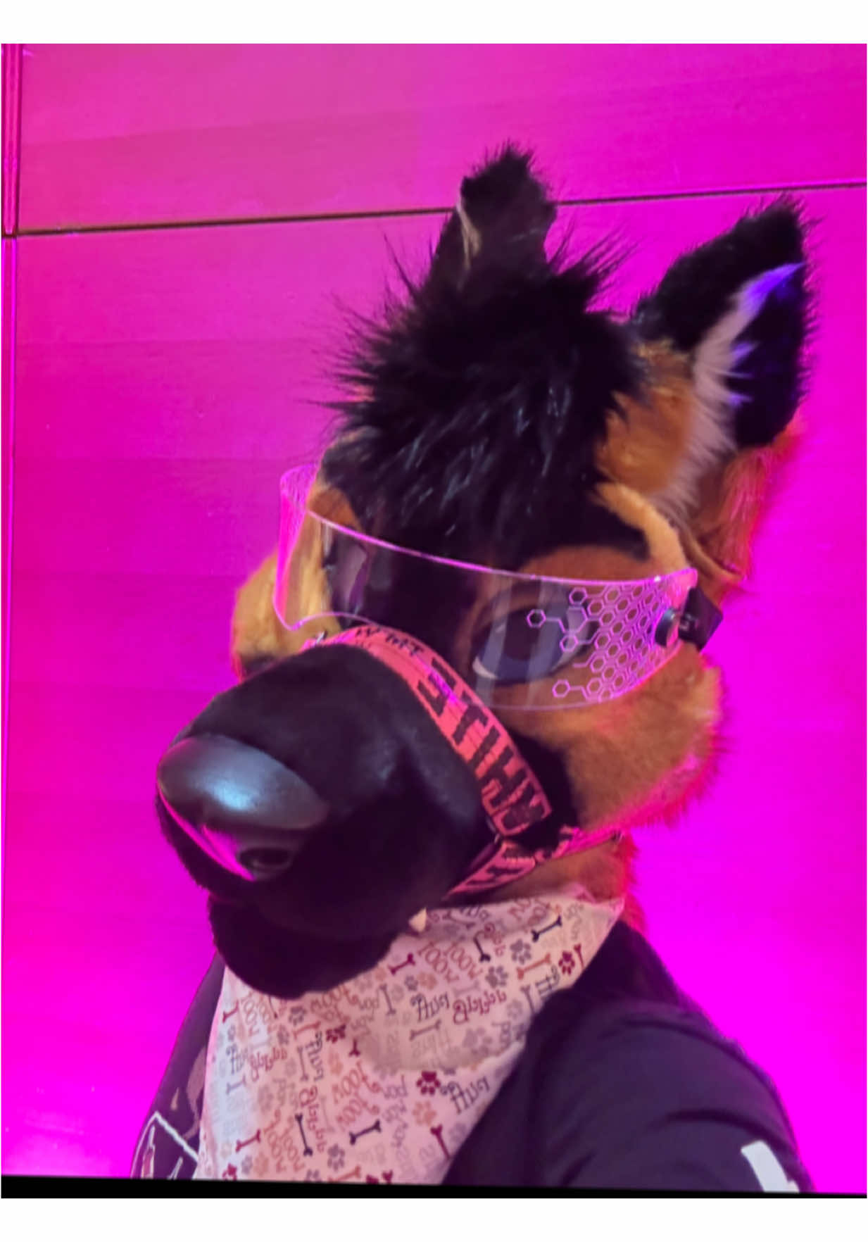 FWA day 2 #fwa #fwa2025 #fwa #foryoupage❤️❤️ #fyp #djfurry #pourtoipage #pou #pourtapage #applemusic #furryfandom #fursuiter #djcosplay #aplloshinn #furriesoftiktok #pourtoii #youtubers #djgoldfox #fursuitersoftiktok #frenchfurry #furries 