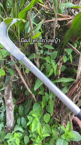 #เทรนด์วันนี้ #มีดถางหญ้าดามยาว #มีดถางหญ้า #มีดถางหญ้าอุปกรณ์ทําไร่ทําสวน #มีดถางหญ้าแมงกานีส 