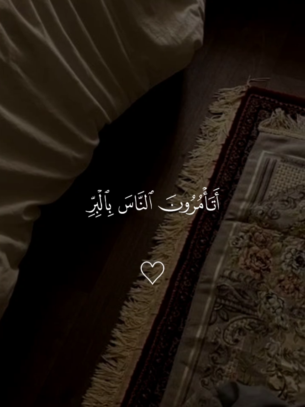 تدبروا الآيات 🤍 #قران #مشاري_العفاسي #quran #القران_الكريم #تلاوة_خاشعة 