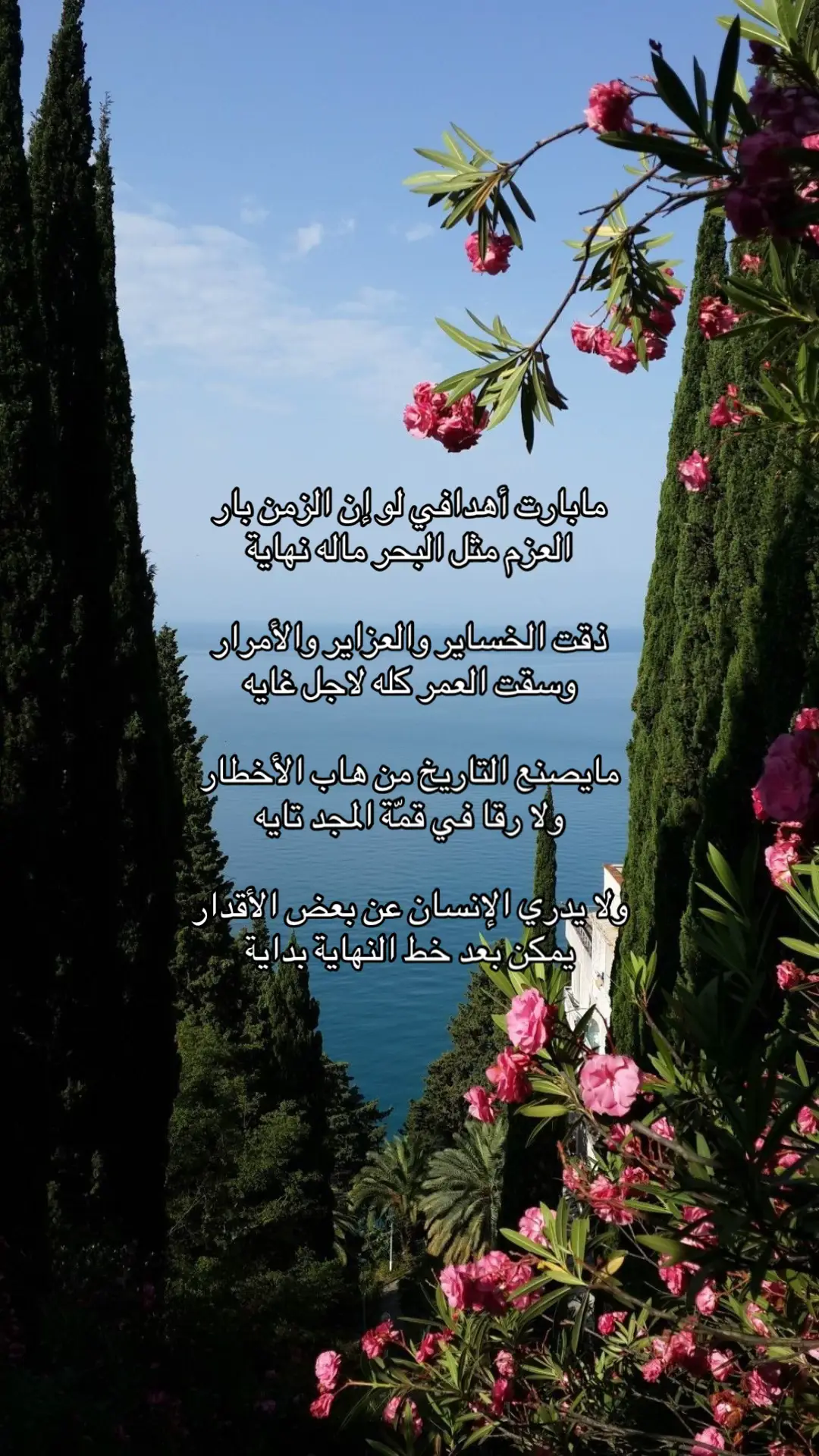 #fyp #explore #اكسبلورexplore #foryou #اقتباس 