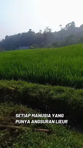 setiap manusia yang punya angsuran,,#pasawahan #lemburkuring #katakata 