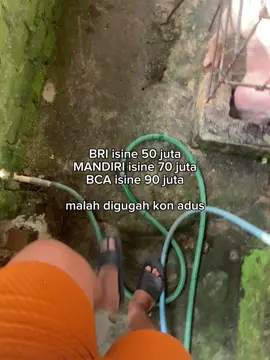 #CapCut #peternakbabi #fyp #babiguling #babibali #munculberanda #lewatberandafyp #lewatberanda 