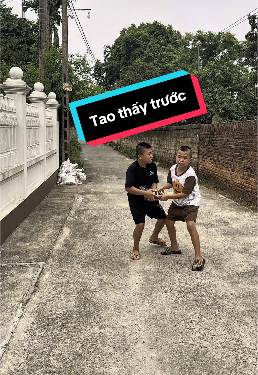 Combo 5 cường lực + 1 ốp 1 mèo thần tài #tammaotv #xuhuong #viral #cươngluckinhkhong #cuongluciphone #cuonglucchongnhintrom @Tam Mao TV 