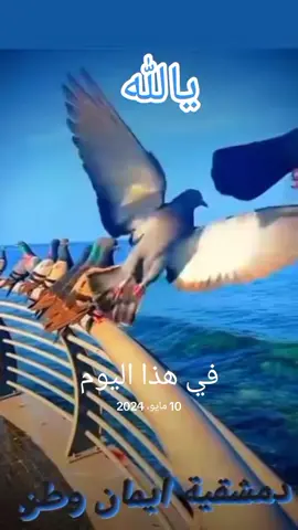 #في هذا اليوم
