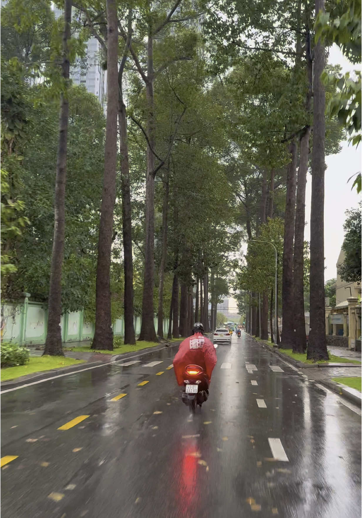 Đường phố Sài Gòn tuy trời mưa nhưng cũng rất chill. #muasaigon #saigon #saigoncityview 