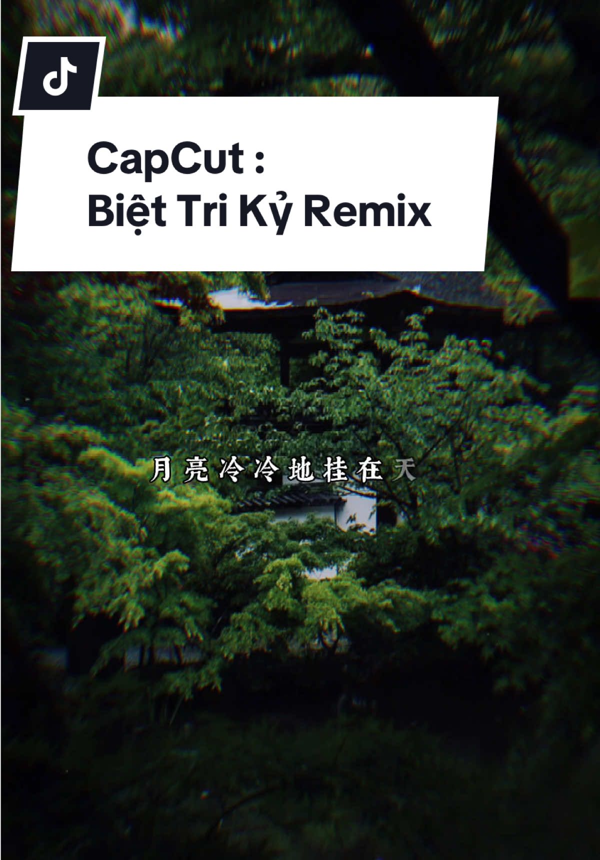 Biệt Tri Kỷ Remix - Nghe Cuốn Quá…  #CapCut #xuhuong #thinhhanh #viral #lyrics #biettriky #nhacremix #bietchua 