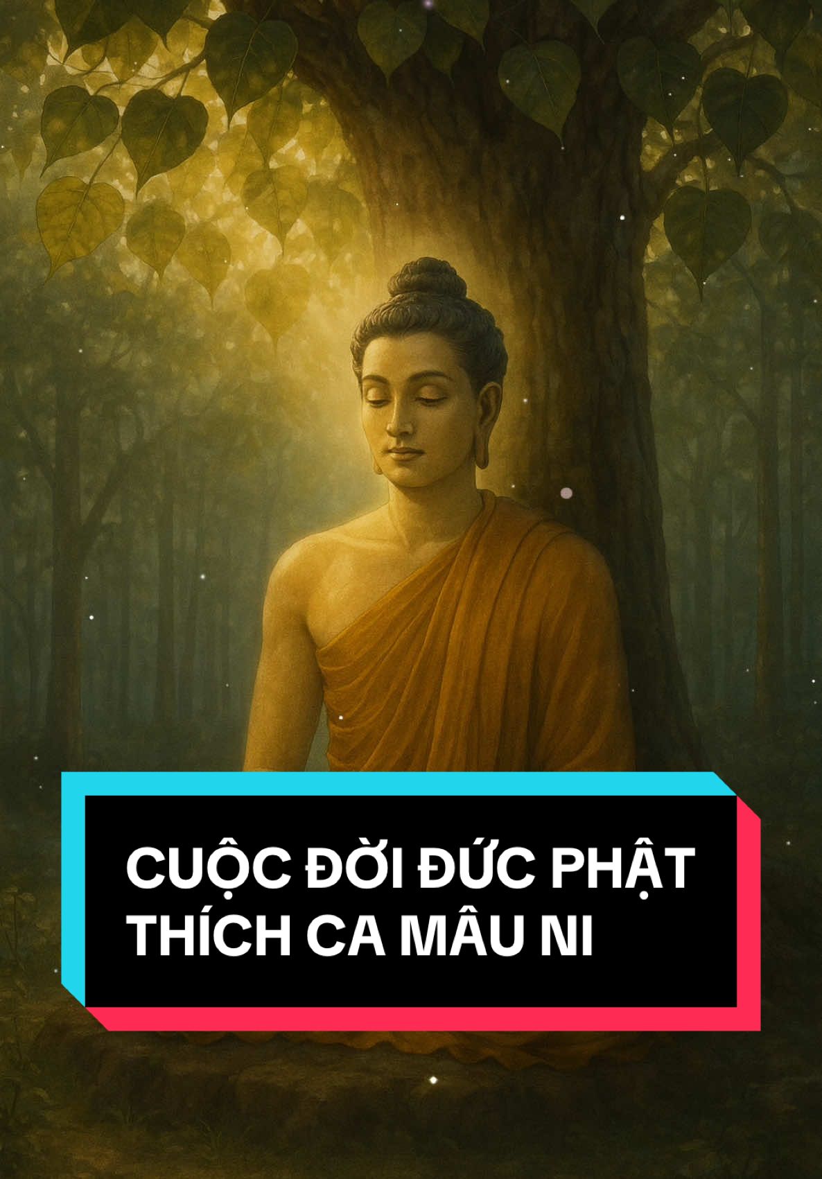 Cuộc đời Đức Phật Thích Ca Mâu Ni - vị Phật có thật trong lịch sử loài người.#phatdan #lephatdan #thichcamauniphat #daophat #loiphatday #tinhthuc #phatphap 