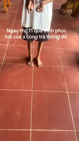 P4 .ngày thứ 11 những mạch máu đầu tiên cũng như những bước chân nhẹ nhàng của a khi sử dụng Trà Thông Đỏ 
