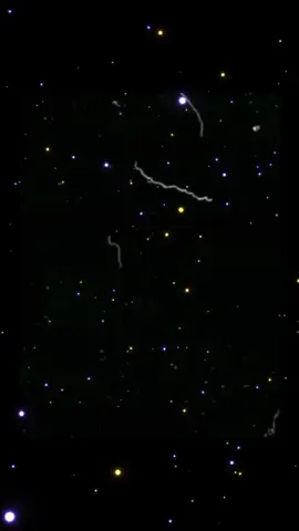 #CapCut 
