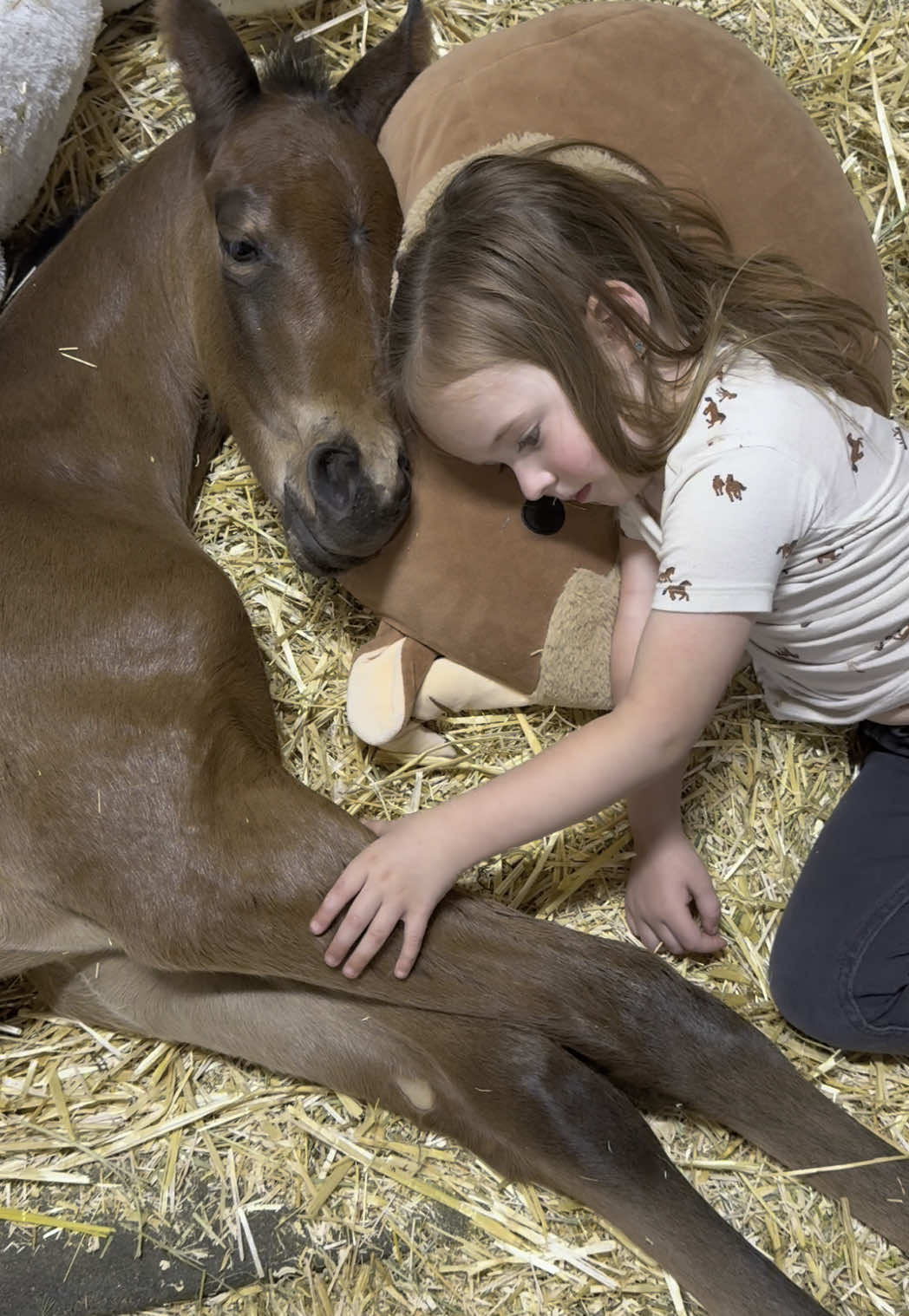 The long awaited cuddles we all have longed for #fyp #horse #horsesontiktok #foal #foalsoftiktok #horsetok #toddlersoftiktok #toddlerlife 