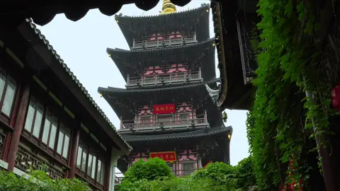“Mưa rơi cổ tự, chuông ngân khói mờ… Một khoảnh khắc dịu êm giữa nhân gian vội vã.” Ở Hàn Sơn Tự, tiếng chuông vọng qua mưa bụi Giang Nam, hoa sen nở trong tĩnh lặng, lòng người như tìm được chốn an yên. Chốn cũ, mưa xưa, cảnh vẫn đượm thơ. #HànSơnTự #GiangNamYênVũ #DuLịchTôChâu #CổPhongÝCảnh #ChữaLànhTâmHồn #PhongVịĐôngPhương #HoàiNiệm #phongcanhtrangian #phongcanhthiennhien #cophong #phongcanhdep #canhdeptrungquoc #canhdeptrunghoa #mua #tamtrang #hoaico #hoainiem #tuyetlacsontrang #giangnam 