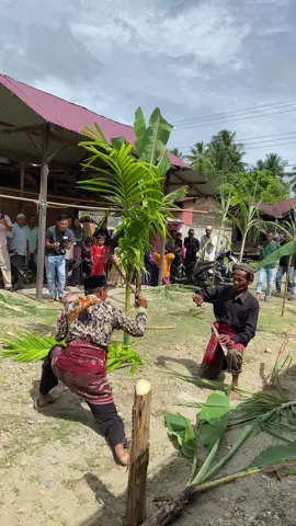Turun tanah limau purut kotafajar #fyp #adataceh #acehselatan #silat #fypdonk #viraltiktok #viral 