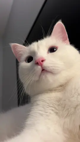 งื้ออออ🥹 ตาแป๋วของแม่