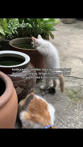 🙂 #fyp #sadvibes #sadstory #galau #galaubrutal #galaustory #story #quotes #katakata 
