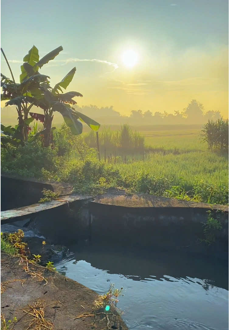 Ternyata aku pernah sebahagia itu di era lamunan