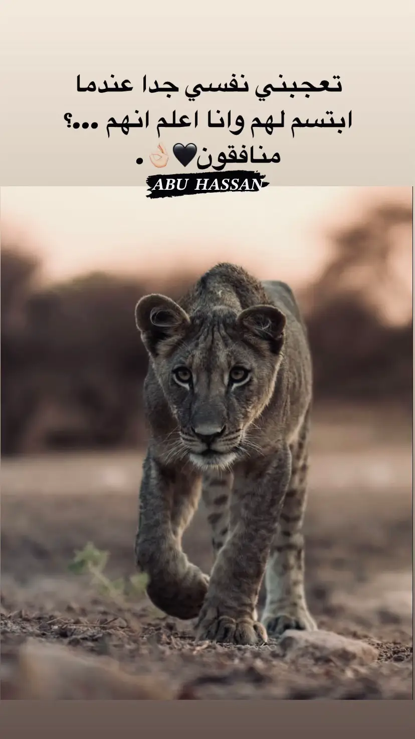 #عبارات #فوريو #اب_الحسن🖤📿 