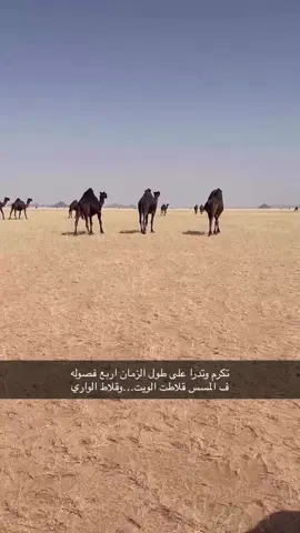 #اكسبلور #البل #نجد #رنيه #سبيع_الغلباء_الخرمه_رنيه_رماح #اكسبلورexplore #الان #الانتشار_السريع #مالي_خلق_احط_هاشتاقات #مالي_خلق_احط_هاشتاقات🦦 