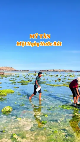 Tuổi thơ ai cũng thích #ninhthuan #alo85 #mỹtân #khampha 