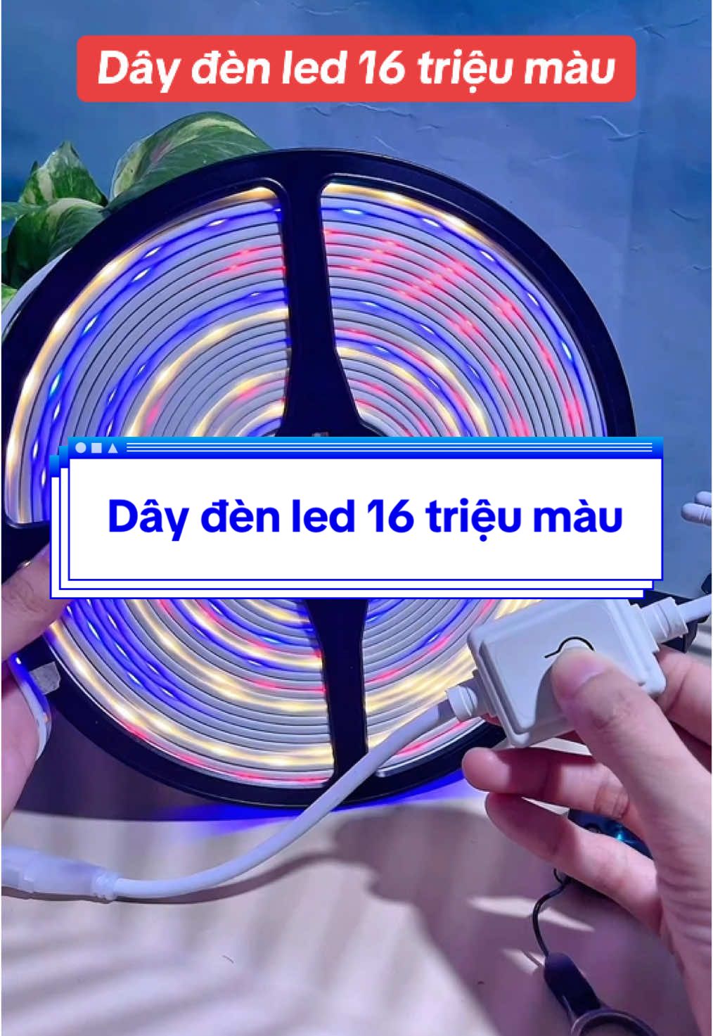 Dây đèn led 16 triệu màu trang trí #daydenleddoimau #daydenledtrangtringoaitroi #daydenledtrangtri #giadungmoinha  