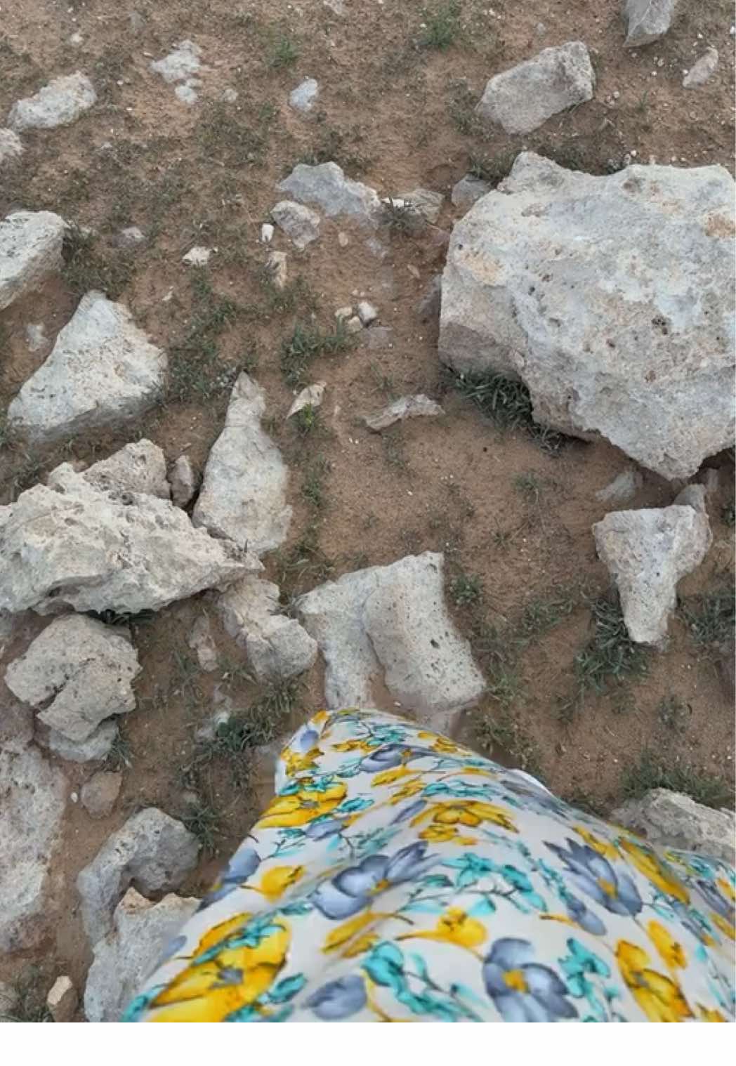 #ابن_شايق