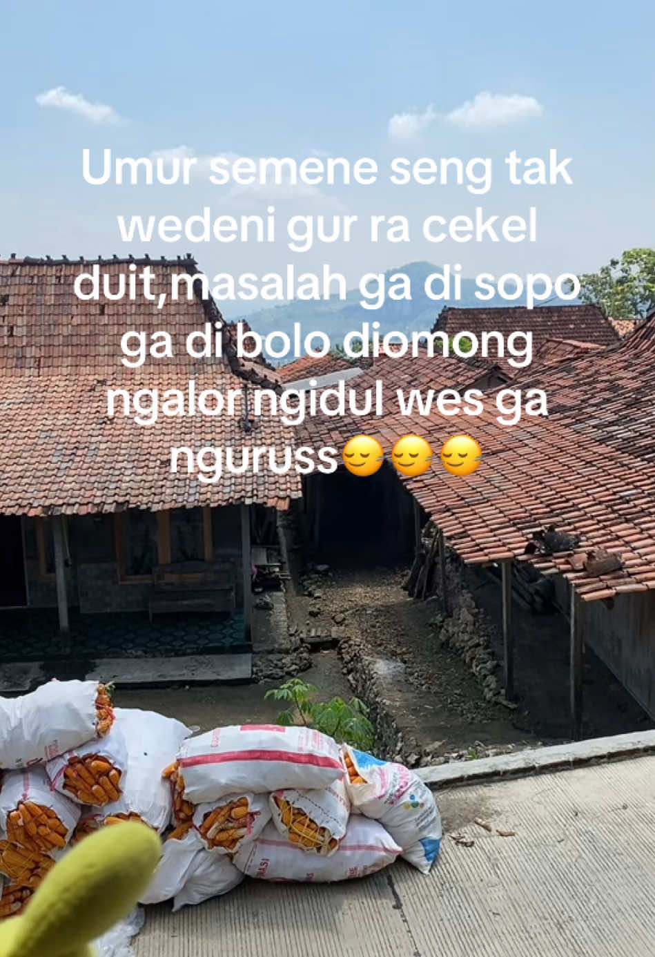 Pokok kudu cekelan duitt🤪 #fypage #xybca #kehidupan 
