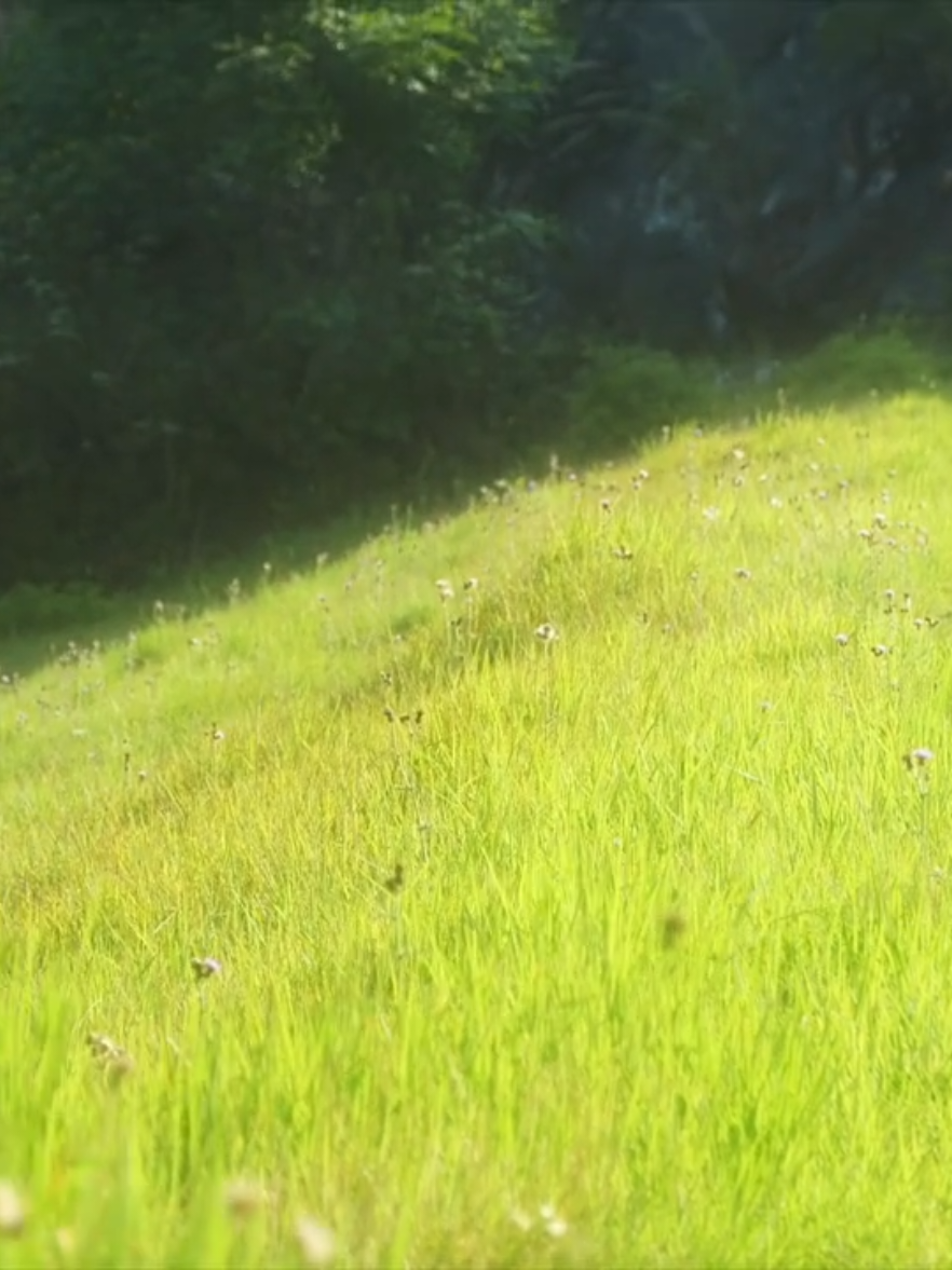 Giấc mộng mùa hè bắt đầu #niemchn_26 #canhdep #xuhuong #Summer #chillwithtiktok #chill #summervibes 