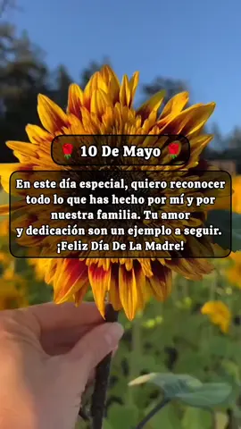 SÁBADO, 10 DE MAYO 2025 ¡FELIZ DIA DE LA MADRE! #10demayo #felizdiadelamadre #10demayo2025 #10demayode2025 #sábado10demayo #sabado10demayo #sabado10demayode2025 #10demayodiadelamadre #felizdiadelasmadres #felizdiadelamadre #mama #mamá #felizdiamama #diadelasmadres #diadelamadre2025 