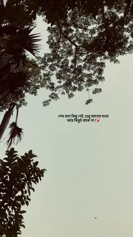 শেষ বলে কিছু নেই, শুধু আগের মতো আর কিছুই থাকে না !❤️‍🩹#foryou #foryoupage #fypシ #emotional #sad_loading_01 #bdtiktok #sad #unfreezemyacount @TikTok Bangladesh @TikTok 
