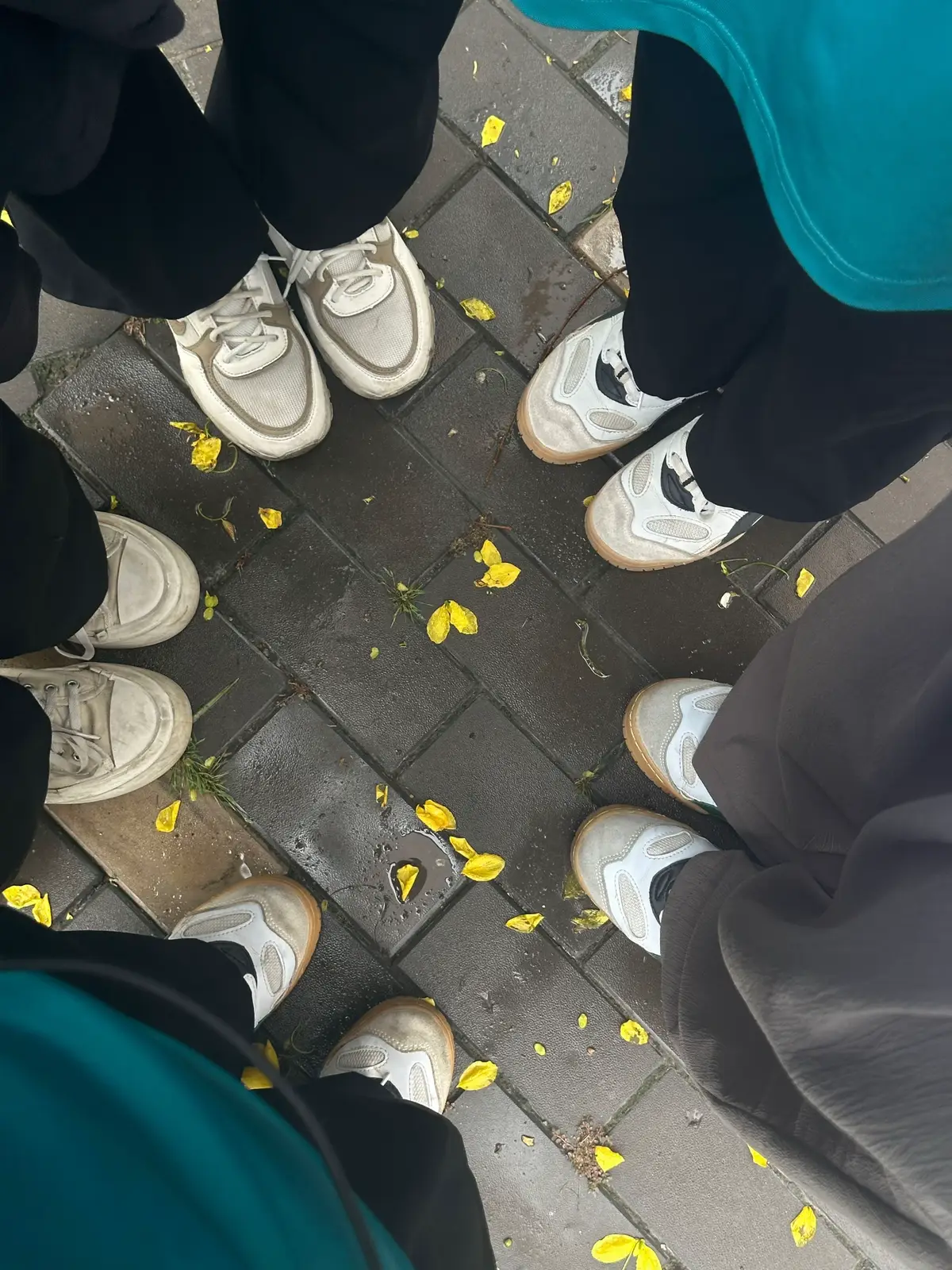 chụp cái chi chi cũng phải hạ sáng kiểu:  #vie #fypシ゚ #something #life #recently 