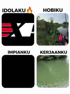 ini lah yang aku mau Dan idolaku