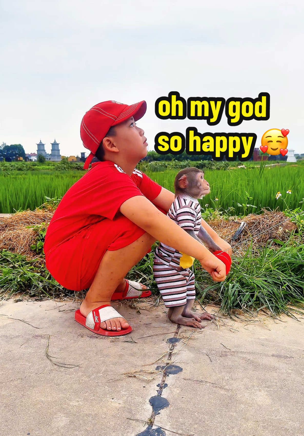 Monkey Bon goes kite flying with his brother #monkey #monkeyfunny #monkeysmart #monkeycute #animal #monkeyfamily #trending #animalfunny #cute 