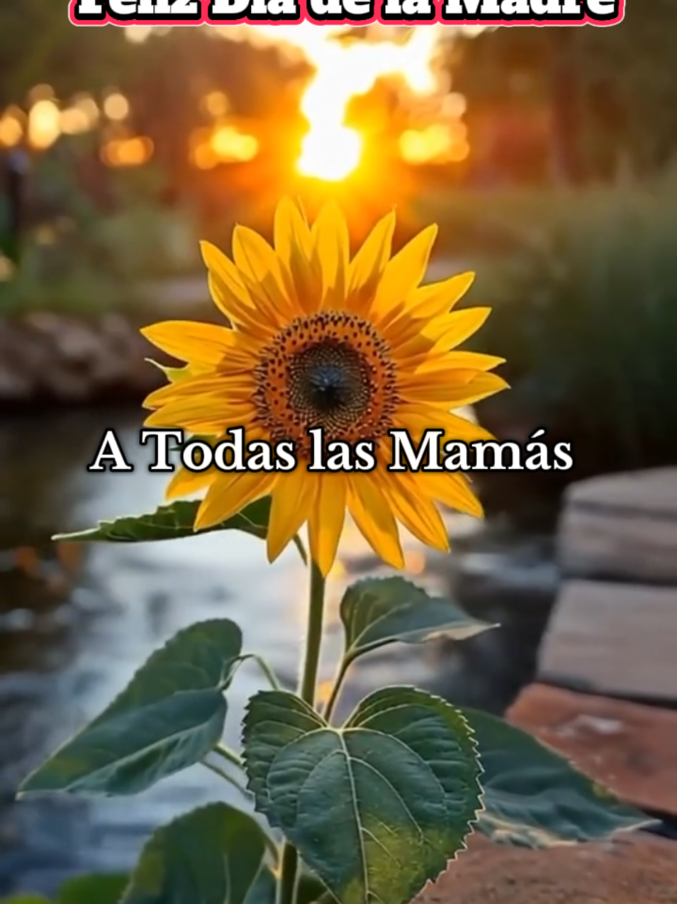 Buen día para Todas esas mujeres maravillosas Madres  #Diadelasmadres #paratiiiiiiiiiiiiiiiiiiiiiiiiiiiiiii #fyppppppppppppppppppppppp #fe #parati #fouryourpage #Viral #mama #graciasdios #Bendicionesparatodos 
