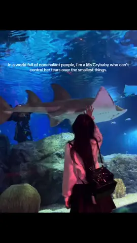 #crybaby #sza #08 #fyp #livephoto 